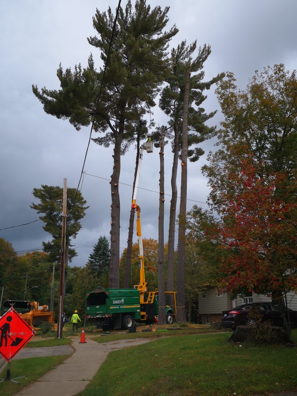 Davey Tree Expert Co. of Canada, Limited | 5 Monica Ln, Bracebridge, ON P1L 1P8, Canada | Phone: (705) 645-1965