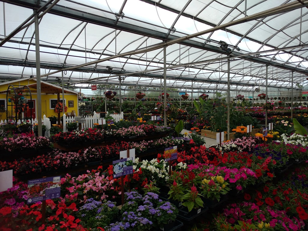 Clearview Garden Shop | 26350 56 Ave, Langley City, BC V4W 1J7, Canada | Phone: (604) 625-7467