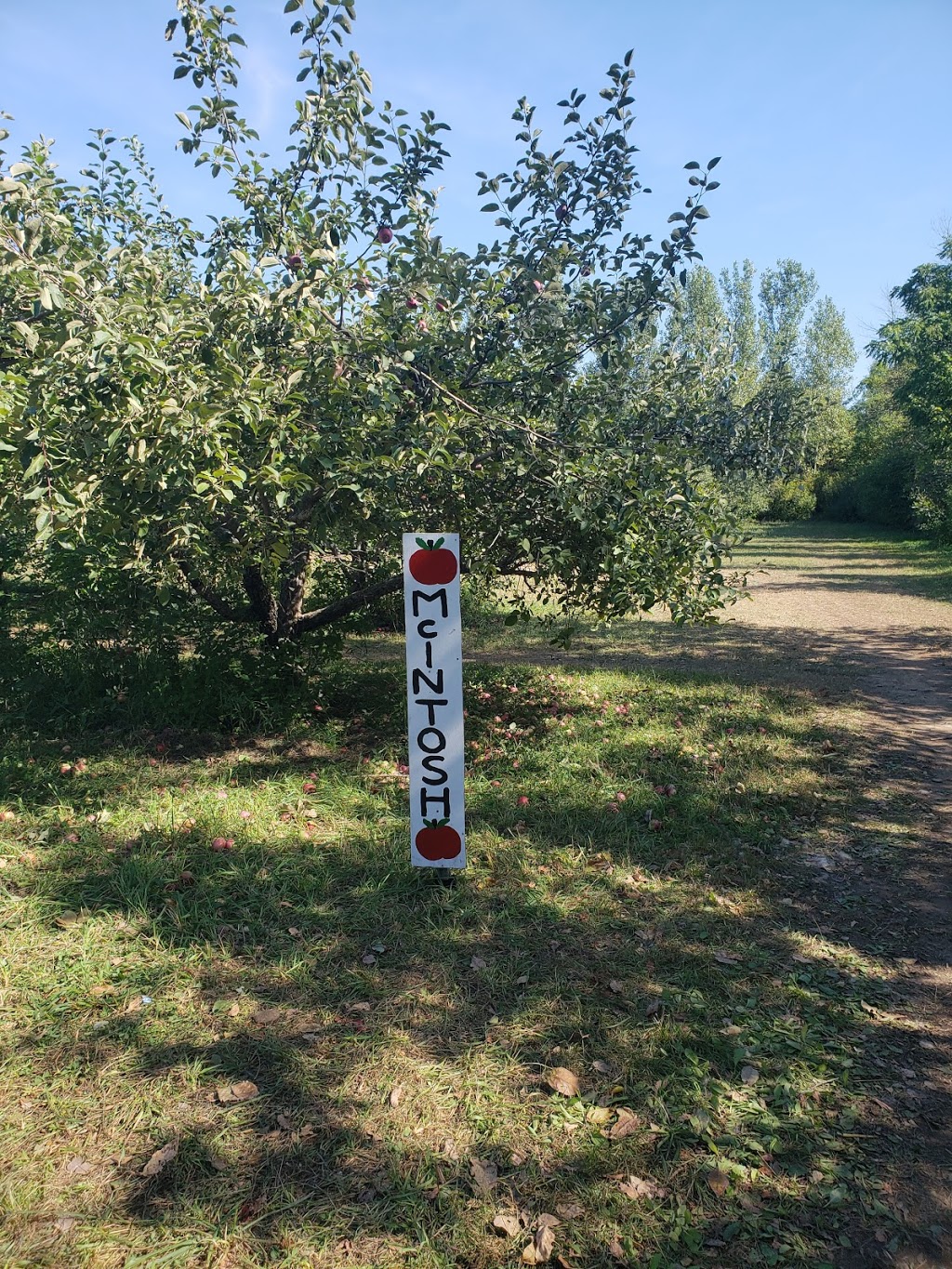 Apple Orchard | 6121 Cabin Rd, Osgoode, ON K0A 2W0, Canada