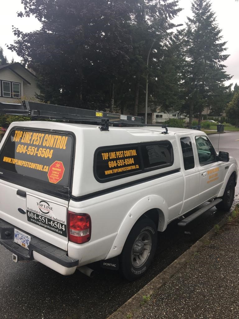 Top Line pest control- Maple ridge. | 21960 River Rd #24, Maple Ridge, BC V2X 2C3, Canada | Phone: (604) 551-6504