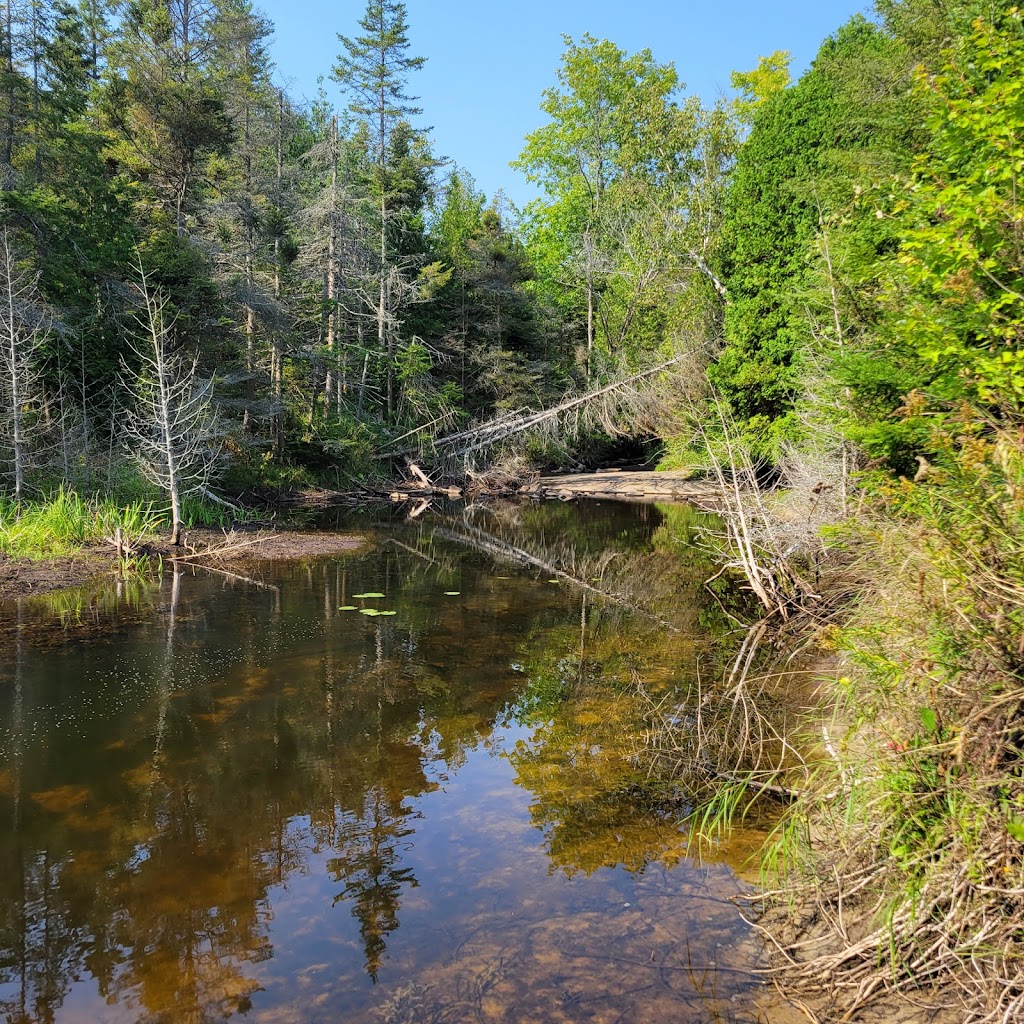 Black Creek Provincial Park | 81 Old Womans River Rd, Lions Head, ON N0H 1W0, Canada | Phone: (519) 389-9056