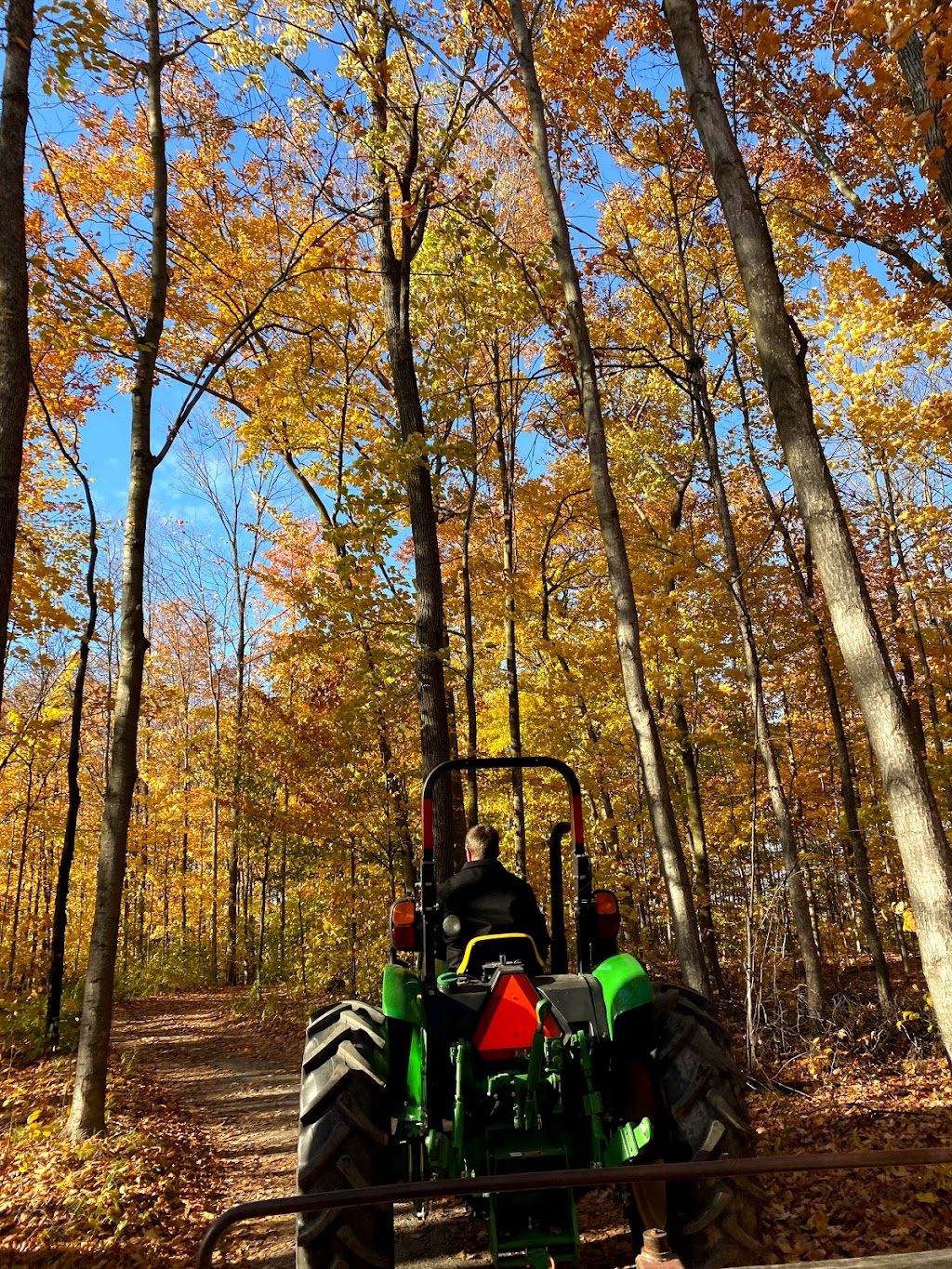 Willowgrove Farm, Day Camp, and Nature School | 11737 McCowan Rd, Whitchurch-Stouffville, ON L4A 4C3, Canada | Phone: (905) 640-2127