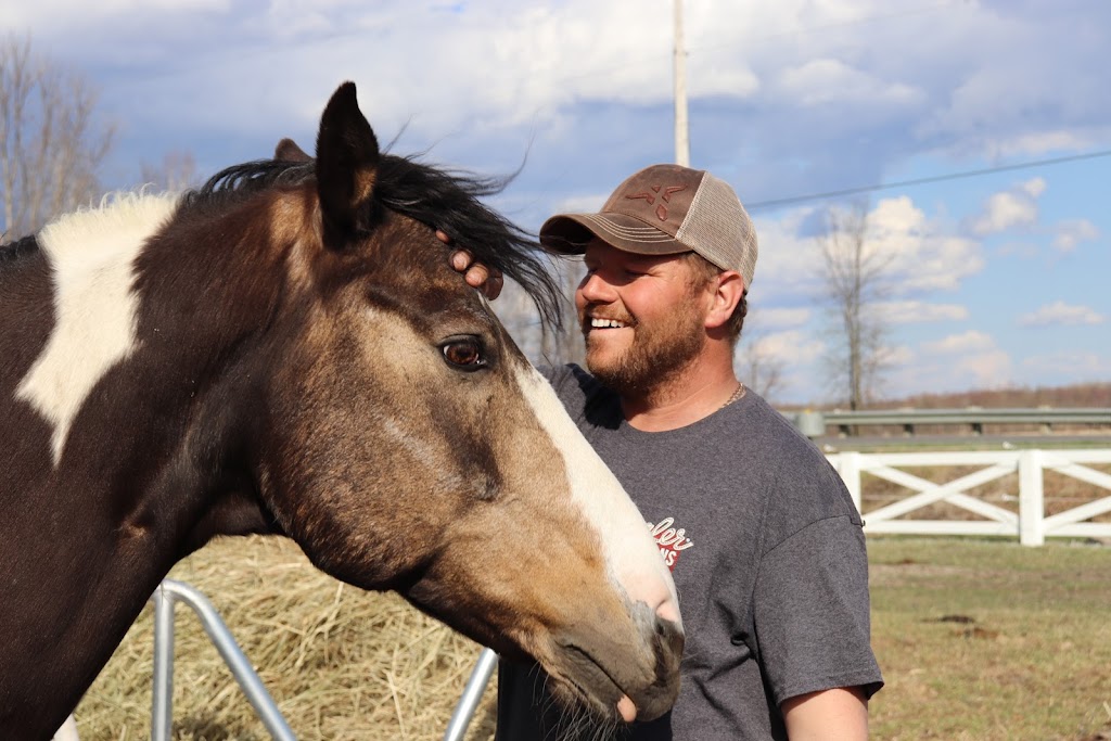 Ranch Traversy | 320 Rte OBrien, Lefebvre, QC J0H 2C0, Canada | Phone: (819) 473-3450