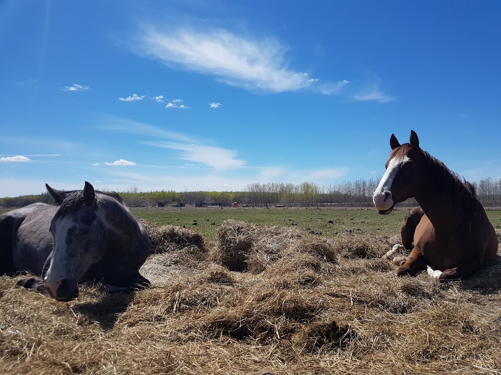 Pine Rock Stables Inc | Anderson Way, Lac du Bonnet, MB R0E 1A0, Canada | Phone: (204) 481-7774