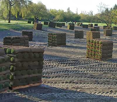 Vancouver Sod Farms | 3865 72 St, Delta, BC V4K 3N2, Canada | Phone: (604) 803-4125