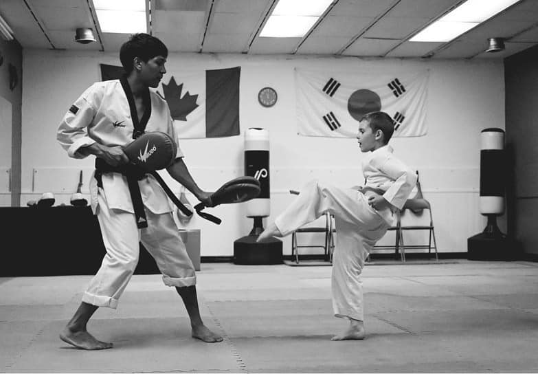 Alpha Martial Arts World | 110 Little Ave, Barrie, ON L4N 4K8, Canada | Phone: (416) 474-3840