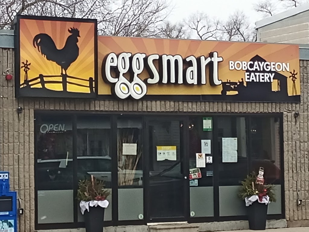 Eggsmart | 40 Bolton St, Bobcaygeon, ON K0M 1A0, Canada | Phone: (705) 731-0101