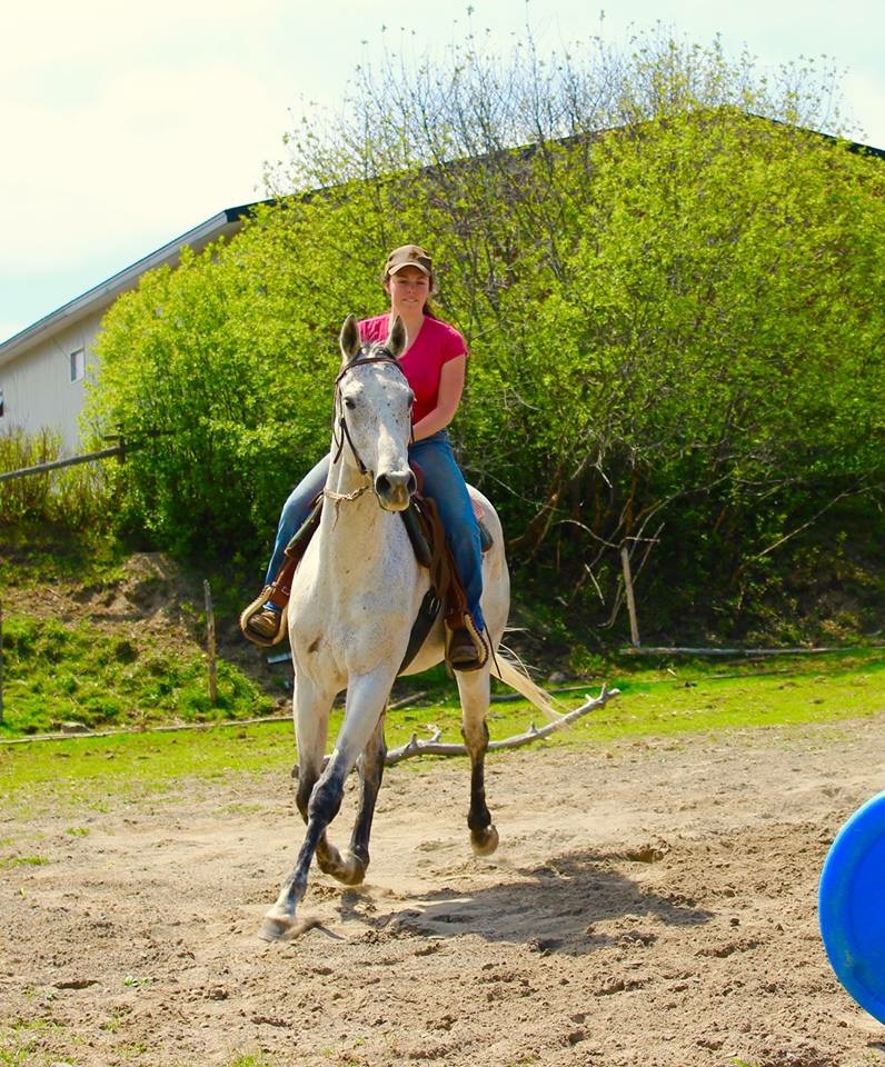 DG Horsemanship | 324 Rang Sainte-Marie, Saint-Alfred, QC G0M 1L0, Canada | Phone: (418) 957-3298