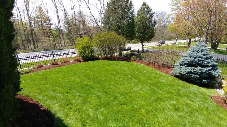 Fine Cut Landscaping | 1100 Sheffield Rd, Cambridge, ON N1R 5S2, Canada | Phone: (519) 651-7044