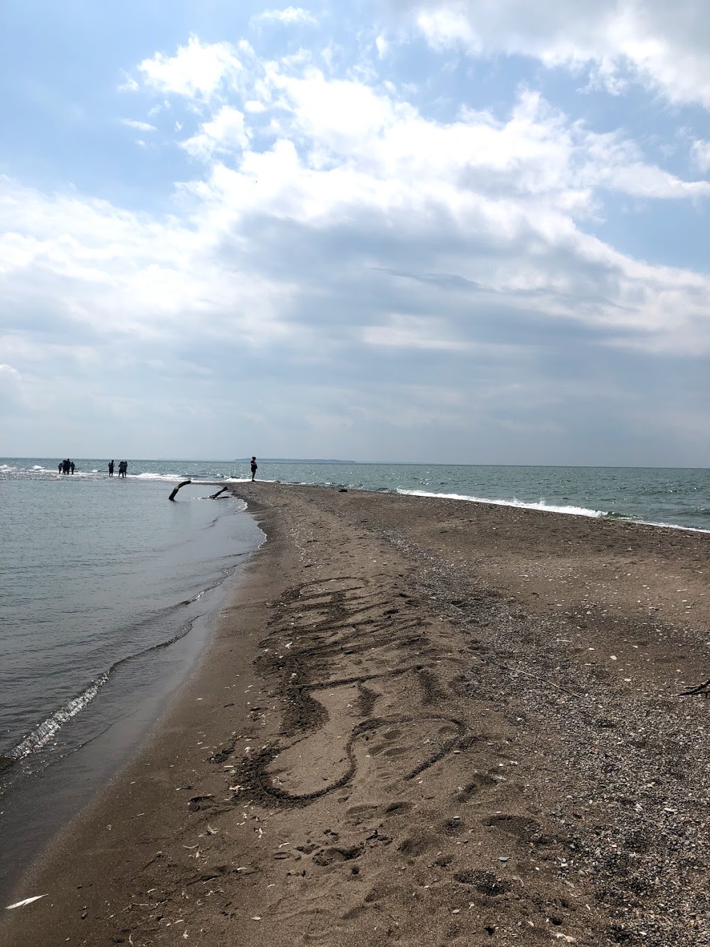 Fish Point Provincial Nature Reserve | McCormick Rd, Pelee Island, ON N0R 1M0, Canada | Phone: (519) 825-4659