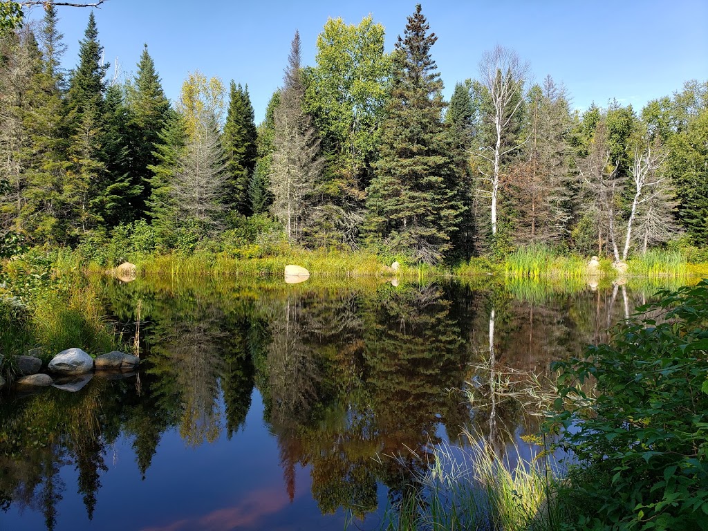 Chalets du Plateau des Hautes-Gorges de Charlevoix | 295 Rue Principale, Notre-Dame-des-Monts, QC G0T 1L0, Canada | Phone: (514) 518-6674