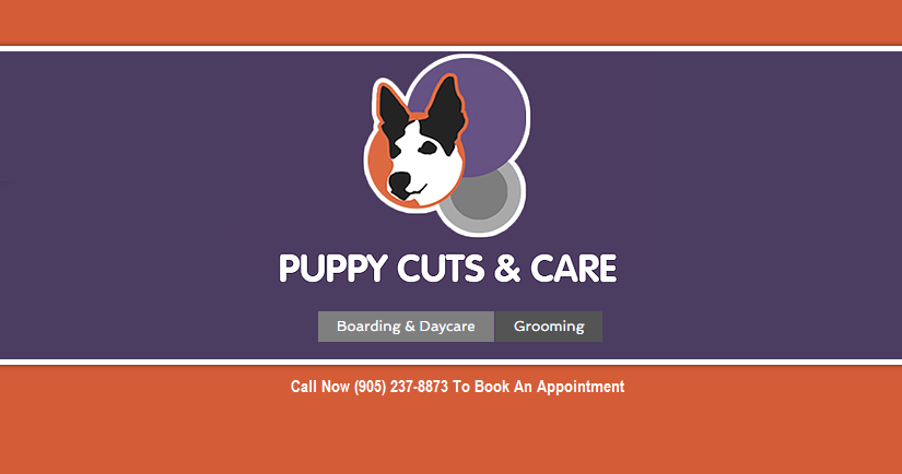 Puppy Cuts & Care | 380 Tower Hill Rd #15, Richmond Hill, ON L4E 0T8, Canada | Phone: (905) 237-8873