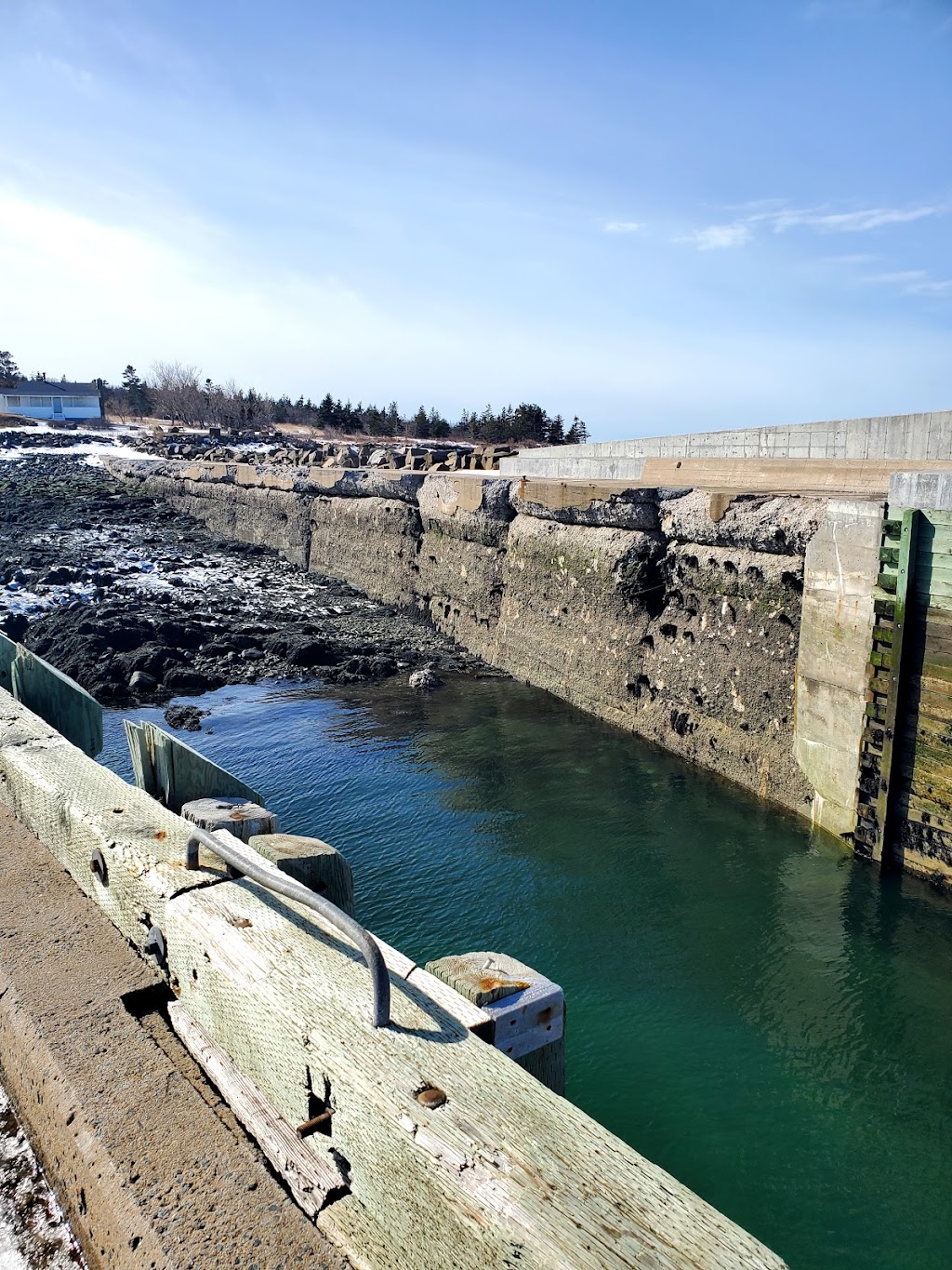 Anderson Cove Seafoods Ltd | 151 Hillsburn Rd, Granville Ferry, NS B0S 1K0, Canada | Phone: (902) 532-0774