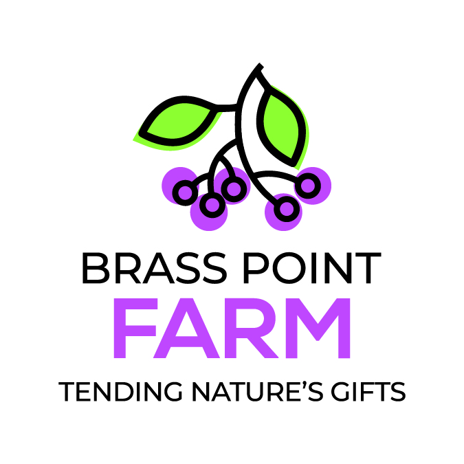 Brass Point Farm | 3534 Burnt Hills Rd, Seeleys Bay, ON K0H 2N0, Canada | Phone: (613) 217-9983