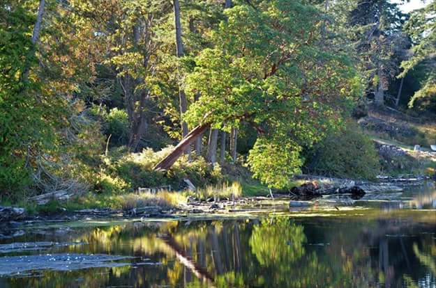 Albert Head Lagoon Regional Park | Delgada Rd, Victoria, BC V9C 3W2, Canada | Phone: (250) 360-3000