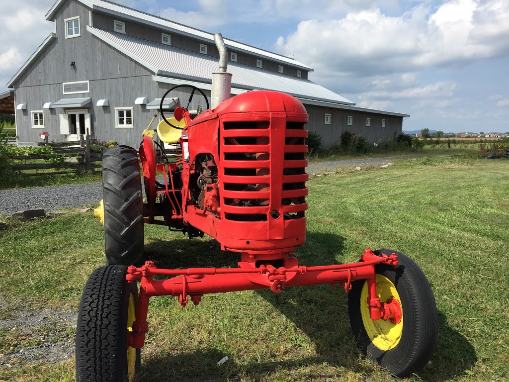 Ferme Guyon | 1001 Rue Patrick Farrar, Chambly, QC J3L 4N7, Canada | Phone: (450) 658-1010