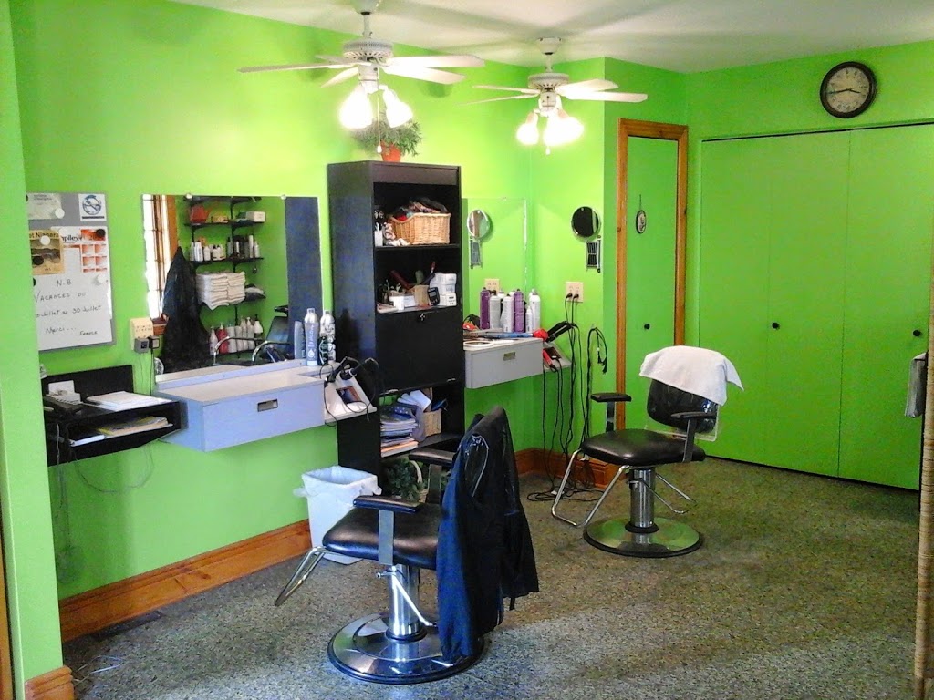 Salon France St-Louis | 960 Gérin, Saint-Justin, QC J0K 2V0, Canada | Phone: (819) 227-2444