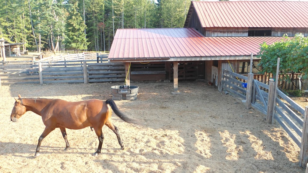 Shiloh Forest Farm | 3449 Slaney Rd, Qualicum Beach, BC V9K 1X5, Canada | Phone: (250) 752-6545