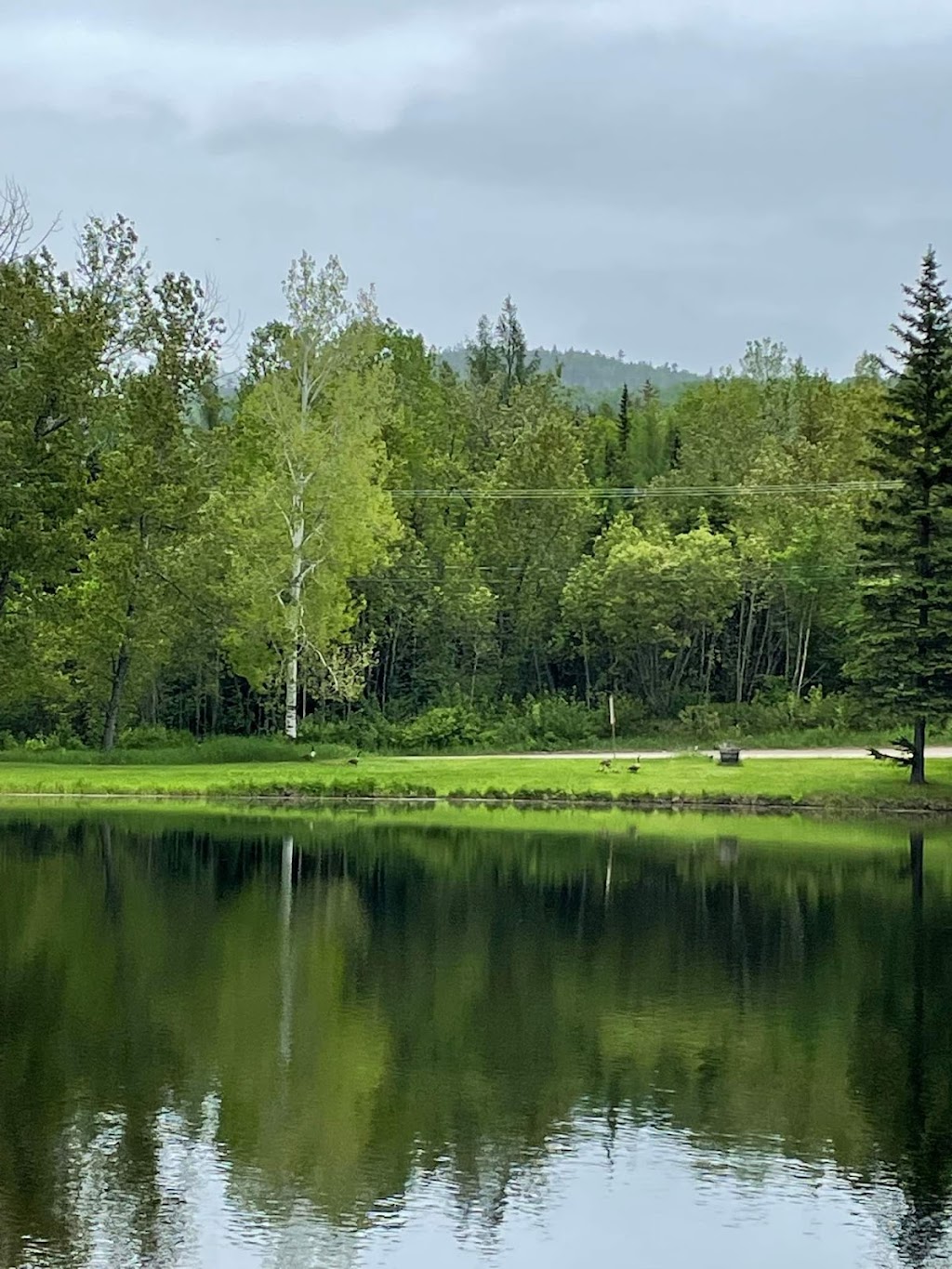 Étang de pêche et locations chalets | 13 Rue Mgr Savard, Clermont, QC G4A 1E5, Canada | Phone: (418) 439-2660