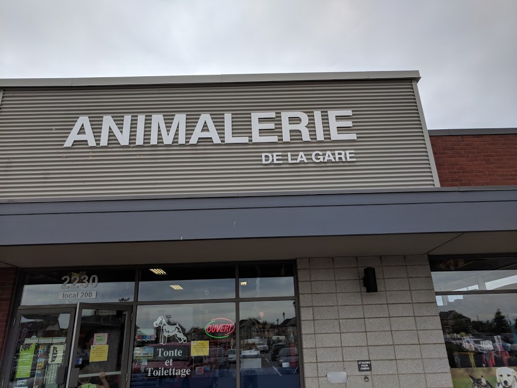 Animalerie de la Gare (Salon DAmour) | 2230 Boulevard du Millénaire, Saint-Basile-le-Grand, QC J3N 1T8, Canada | Phone: (450) 441-5298