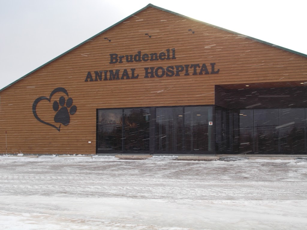 Brudenell Animal Hospital | 5174 Hwy a a MacDonald, Montague, PE C0A 1R0, Canada | Phone: (902) 838-2276