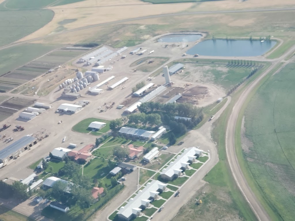 Cameron Farms | Taber, AB T0K 2H0, Canada | Phone: (403) 359-5115