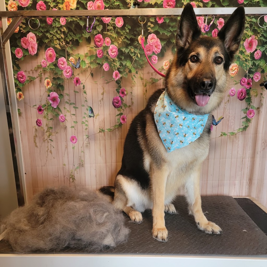 The Barkside Dog Grooming Boutique | 1581 Ridge Rd N, Ridgeway, ON L0S 1N0, Canada | Phone: (905) 993-0371