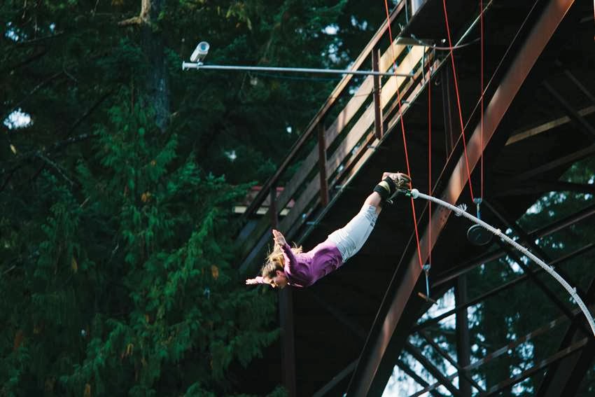 WildPlay Element Parks, Nanaimo | 35 Nanaimo River Rd, Nanaimo, BC V9X 1S5, Canada | Phone: (855) 595-2251