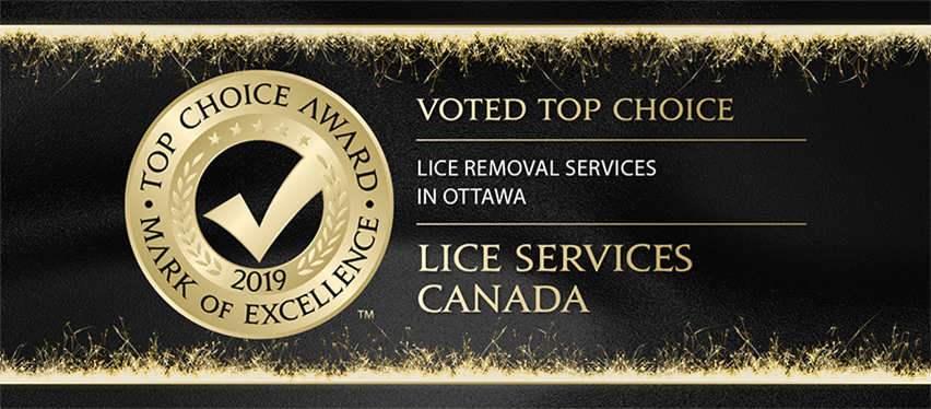 Lice Services Canada - Ottawa Head Lice Treatment and Removal | 111 Colonnade Rd suite 202, Nepean, ON K2E 7M3, Canada | Phone: (613) 482-1432