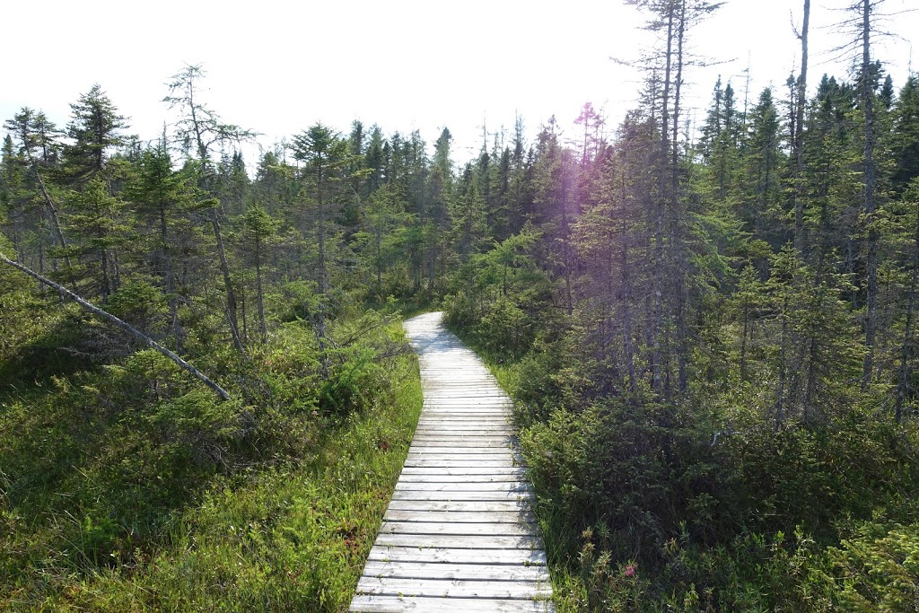 Frontenac - Secteur Saint-Daniel National Park | 177 Route du Parc-de-Frontenac, Adstock, QC G0N 1S0, Canada