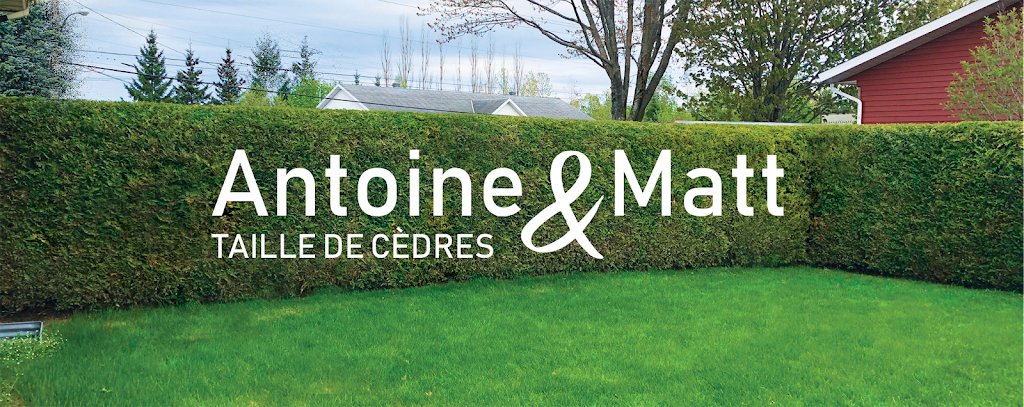 Antoine&Matt taille de haies de cèdres | 1990 Rue de Chantilly, Québec, QC G2G 1W3, Canada | Phone: (844) 393-1844