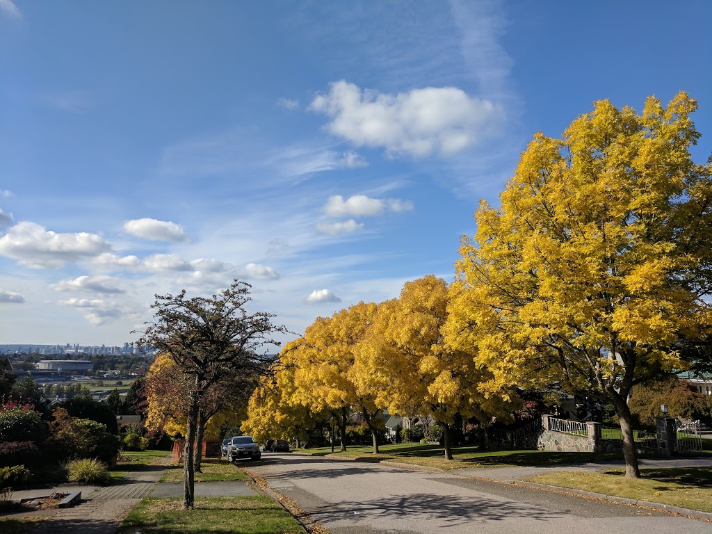 Burnaby Heights Park Off-Leash Enclosure | 416 N Ingleton Ave, Burnaby, BC V5C 1T3, Canada | Phone: (604) 294-7450