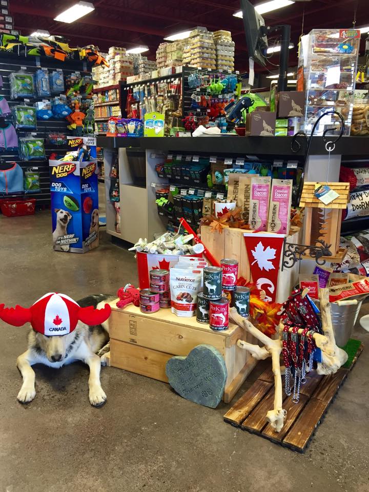 Global Pet Foods Bells Corners | 2150 Robertson Rd #18, Nepean, ON K2H 9S1, Canada | Phone: (613) 726-7622