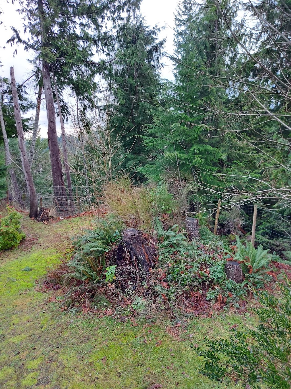 Kings and Queens landscaping and property maintenance | 1855 Martini Way, Qualicum Beach, BC V9K 2S3, Canada | Phone: (236) 463-1978