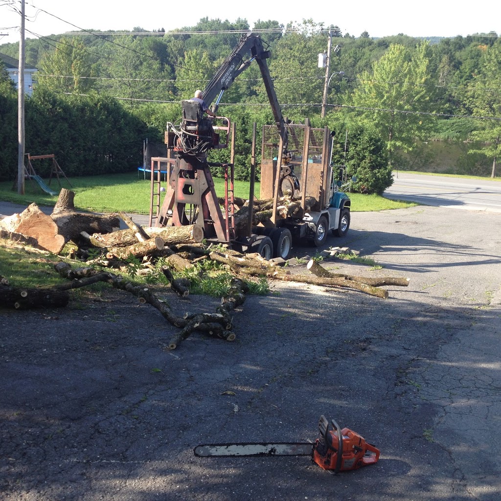 Québec Arbre-Service délagage en Beauce | 1985, Saint-Prosper, QC G0M 1Y0, Canada | Phone: (888) 594-8980