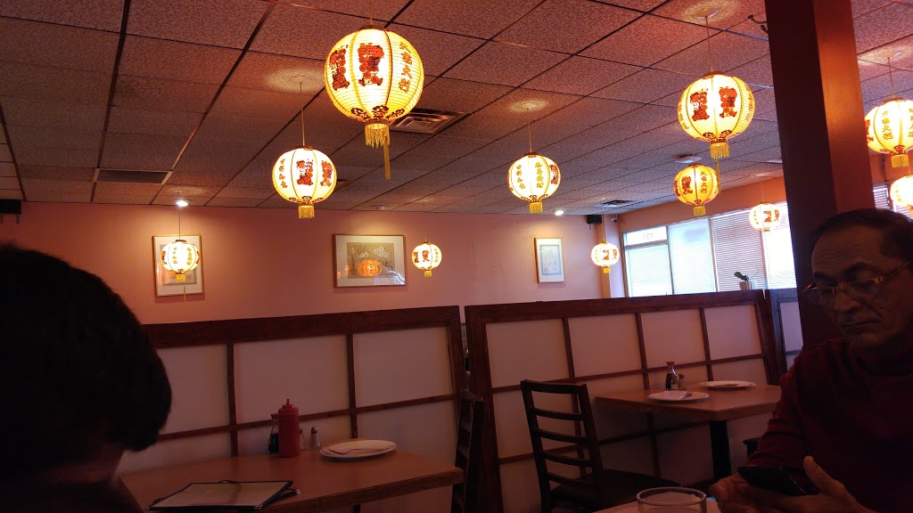 Hakka Indian & Chinese Food | 920 36 St NE, Calgary, AB T2A 6L8, Canada | Phone: (403) 207-8608