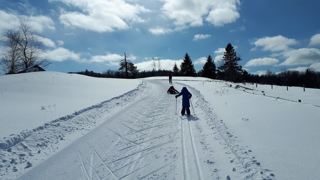 Ski Montagne coupée ski de fond raquette | 220 Chemin de la Montagne-Coupée, Saint-Jean-de-Matha, QC J0K 2S0, Canada | Phone: (450) 886-3845