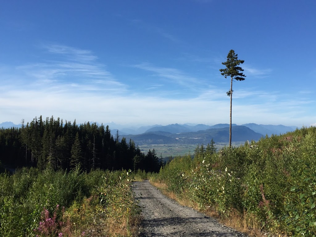 Paradise Valley Road gravel pit | Sumas, WA 98295, USA