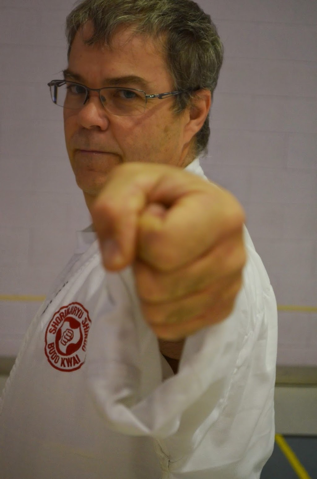 Karate Budo Kwai St-Jérome | 1155 Avenue du Parc, Saint-Jérôme, QC J7Z 6X6, Canada | Phone: (450) 431-1444