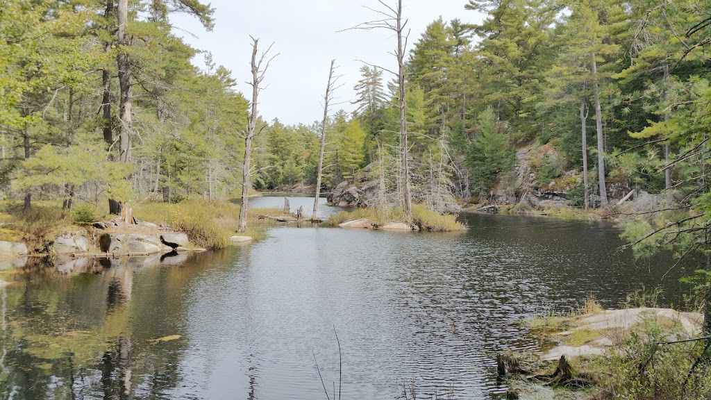 Haliburton Highlands Water Trails- Frost Centre Access Point | 20130 ON-35, Algonquin Highlands, ON K0M 1J2, Canada | Phone: (705) 766-9033