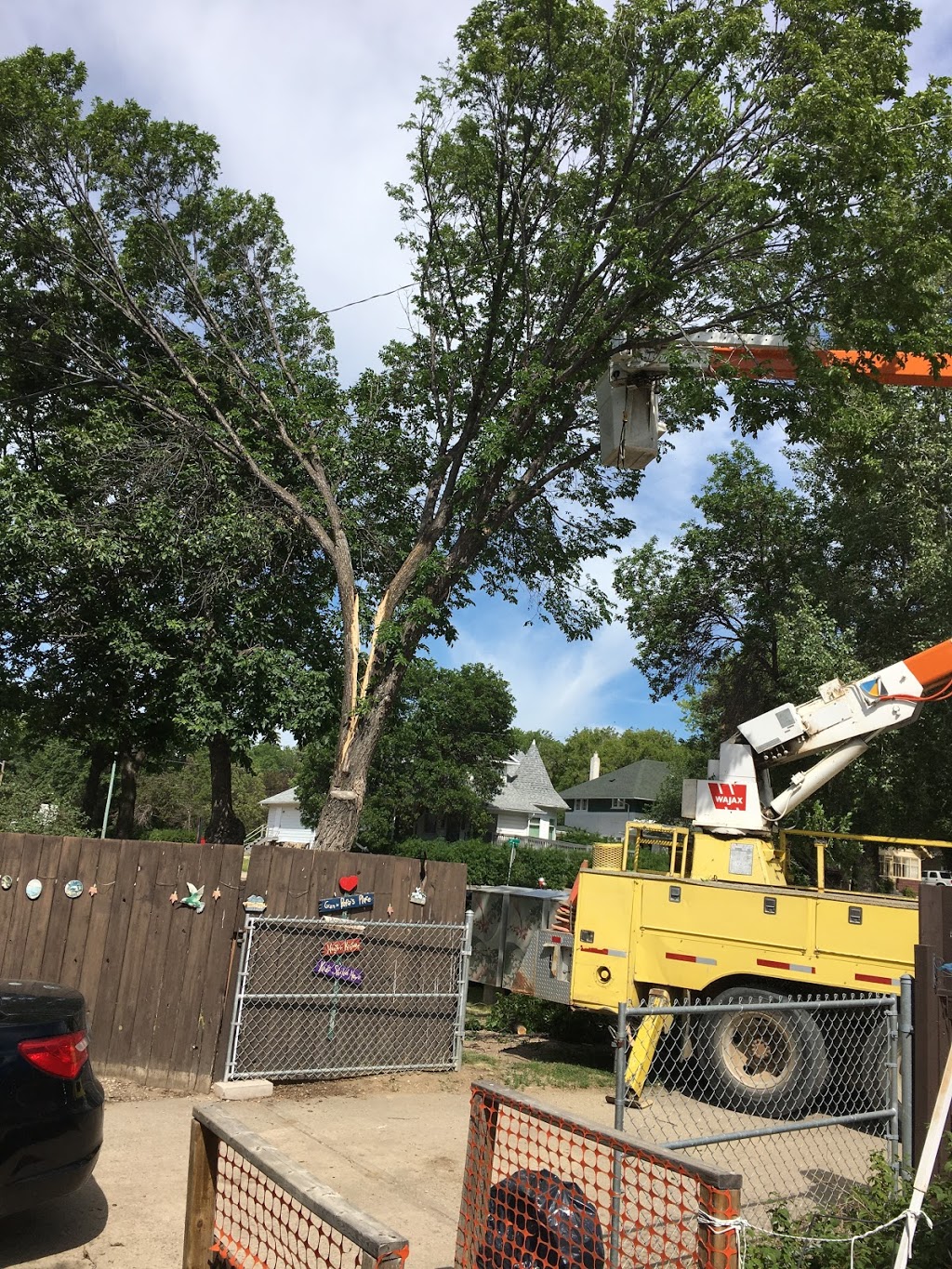 A-1 Tree Service | 1009 Carleton St, Moose Jaw, SK S6H 3A3, Canada | Phone: (306) 692-6701