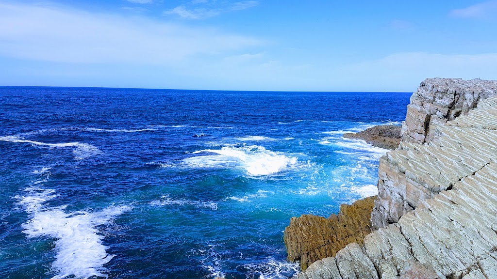 Newfoundland Ecological Reserve | NL-10, Portugal Cove South, NL A0A 4B0, Canada | Phone: (709) 438-1100