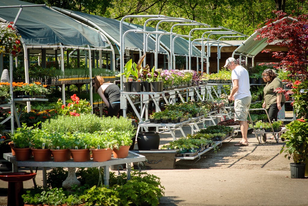 Down 2 Earth Garden Centre | 158 Park Lawn Rd, Etobicoke, ON M8Y 3H8, Canada | Phone: (416) 259-8291