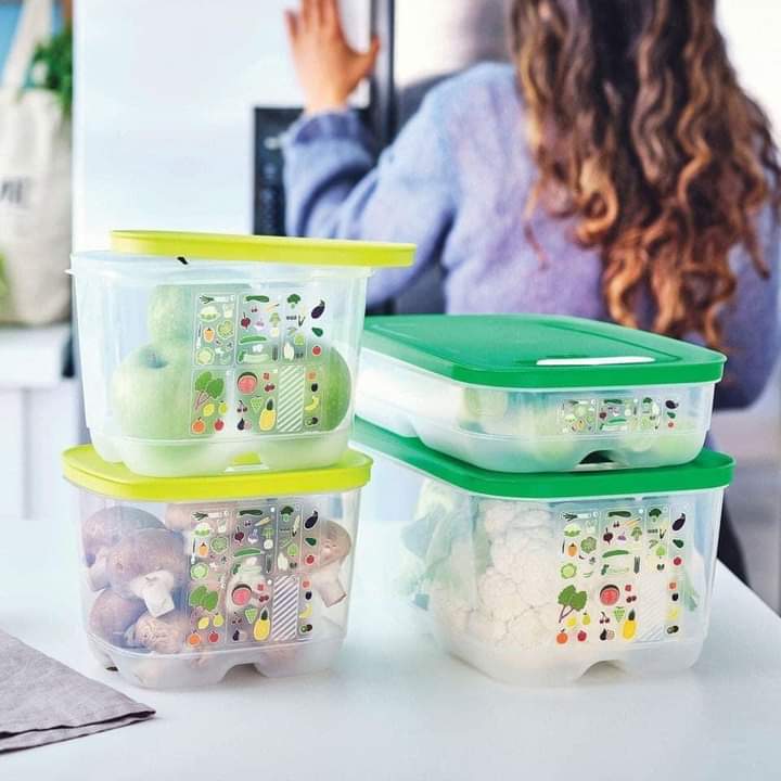 TROIE Tupperware | 4665 Rue Clara Brousseau, Québec, QC G1Y 3M9, Canada | Phone: (418) 802-7133