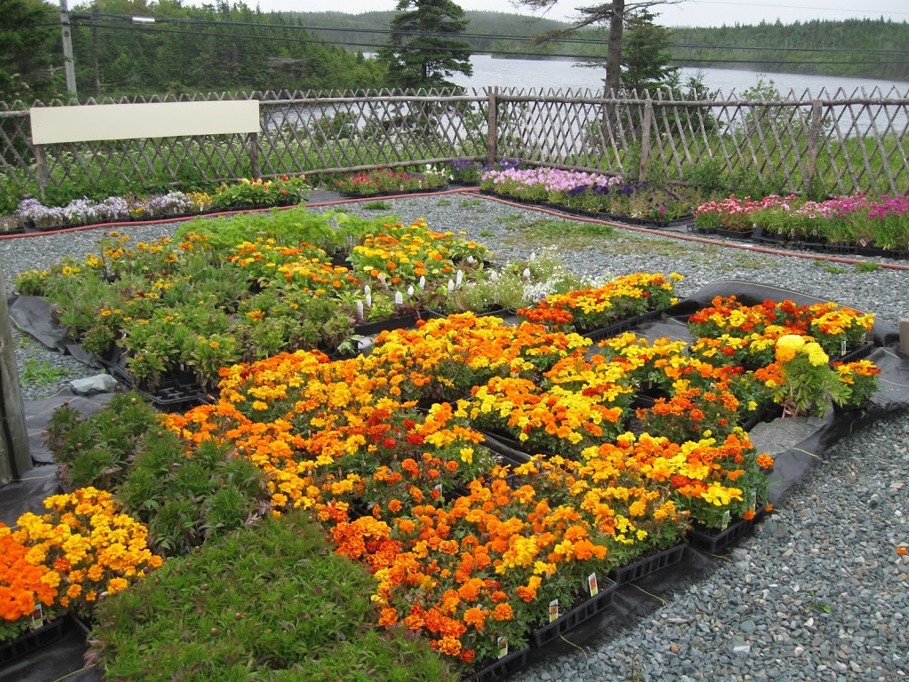 Murrays Garden Centre | 1501 Portugal Cove Rd, Portugal Cove-St. Philips, NL A1M 3P2, Canada | Phone: (709) 895-2800