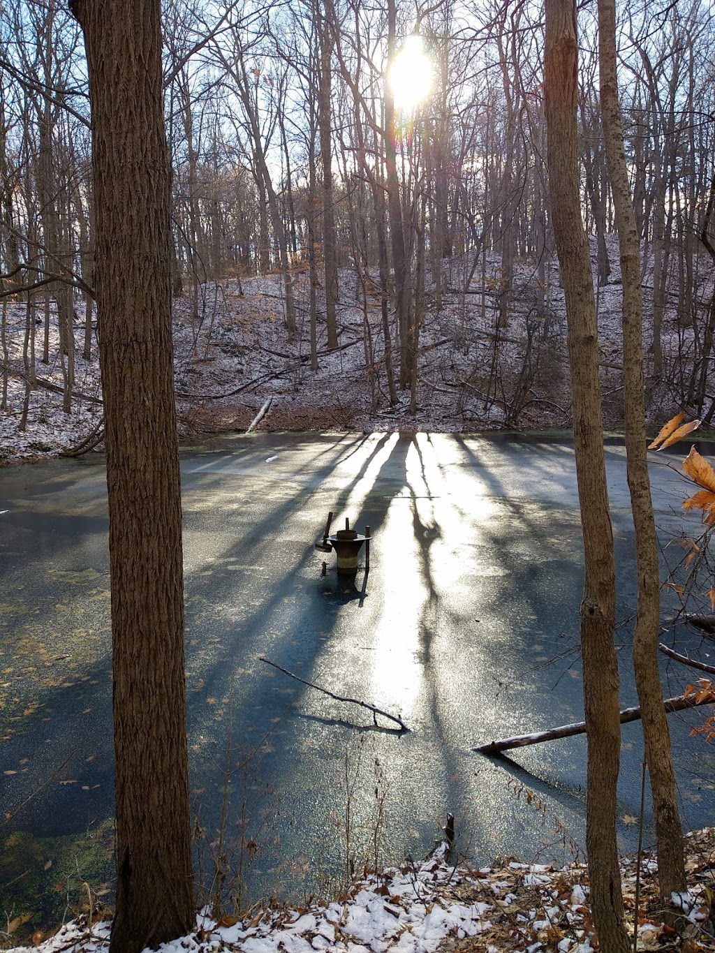 Lathrop Nature Preserve | Fonthill, Pelham, ON L0S 1E3, Canada