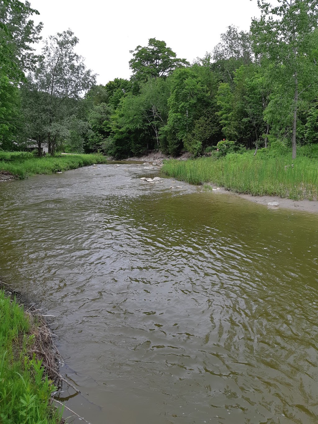 Rouge River Park | Unnamed Road, Scarborough, ON M1B, Canada, Canada