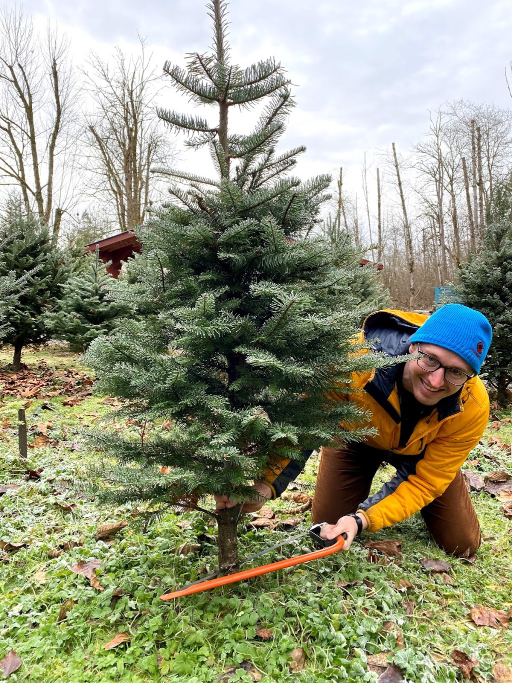 Riley Tree Farm & Wood Fuel Sales | 21998 100 Ave, Langley City, BC V1M 3V1, Canada | Phone: (604) 220-7866