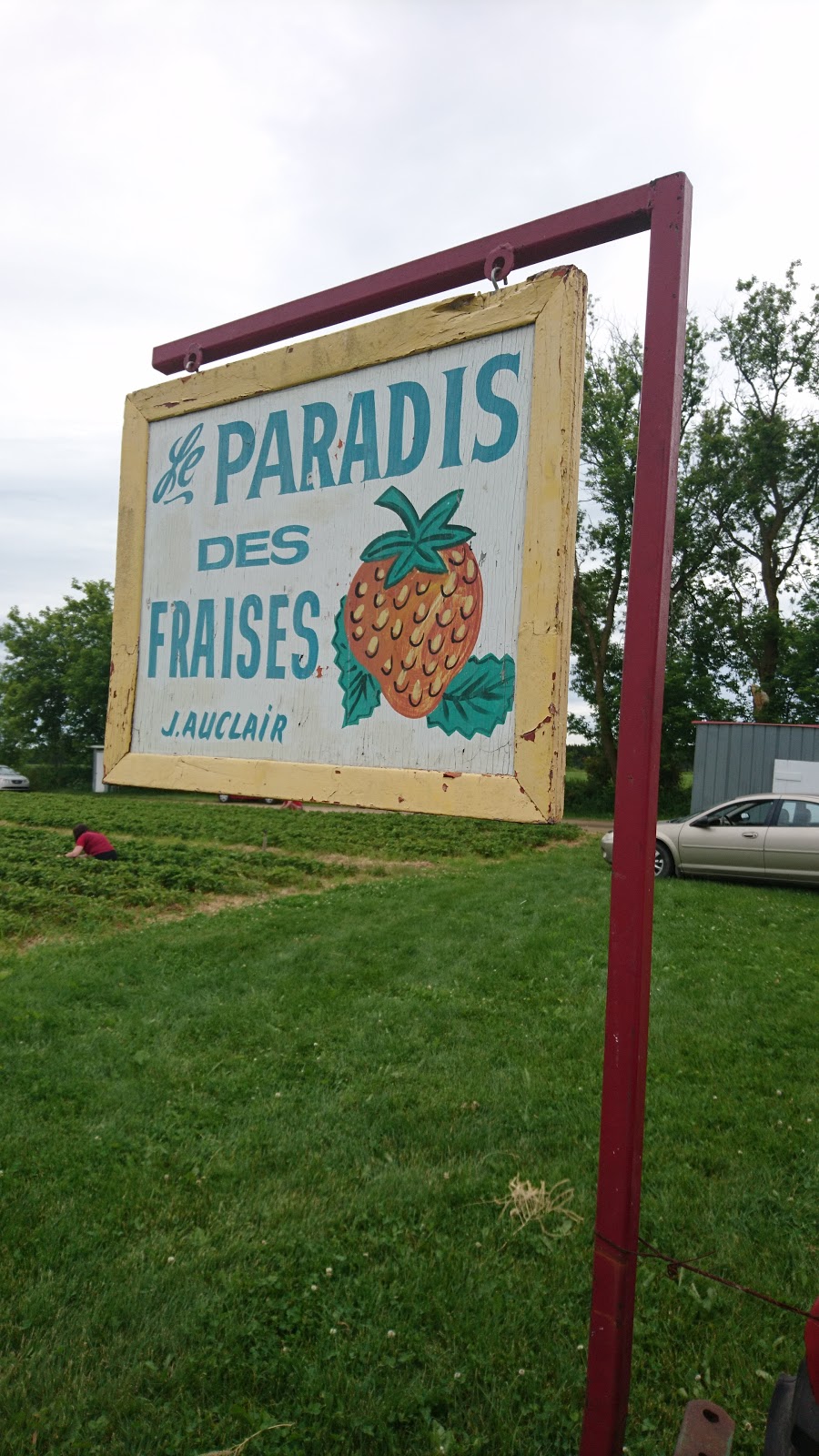 Paradis des fraises J. Auclair & Fils | 230 Point du jour Sud, Lavaltrie, QC J5T 3J4, Canada | Phone: (450) 586-1924