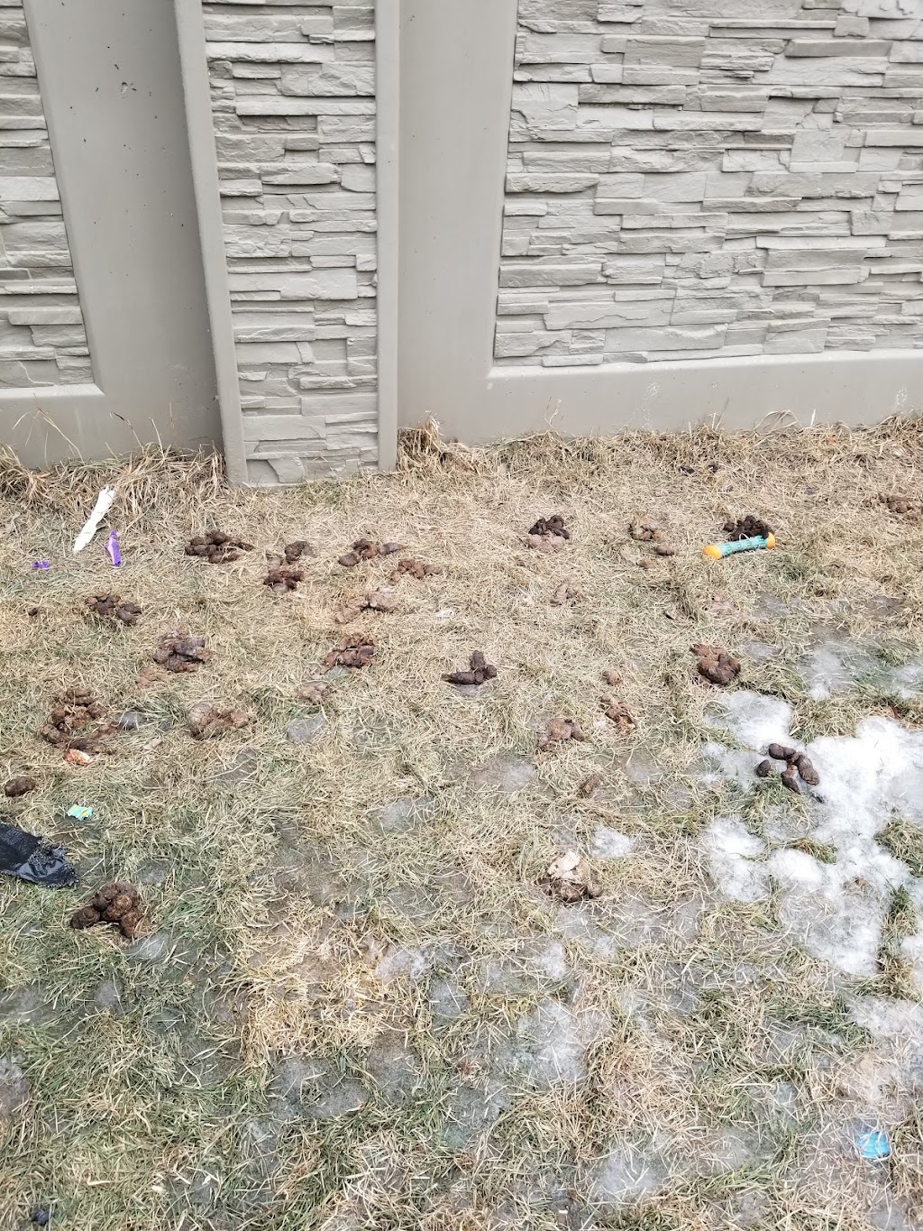 Scrappy doo doggie poo removal | 2320 Baywater Cres, Airdrie, AB T4B 0T4, Canada | Phone: (403) 478-9333